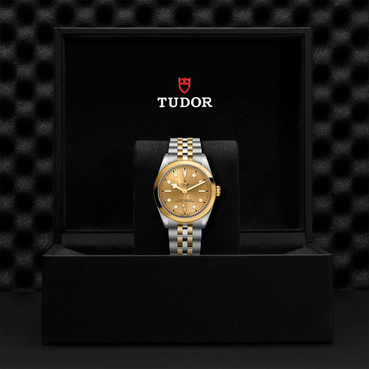 Tudor black bay 36 steel and gold new arrivals